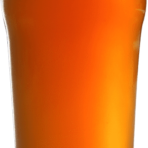 THE RIVER IPA - 6.0% ABV